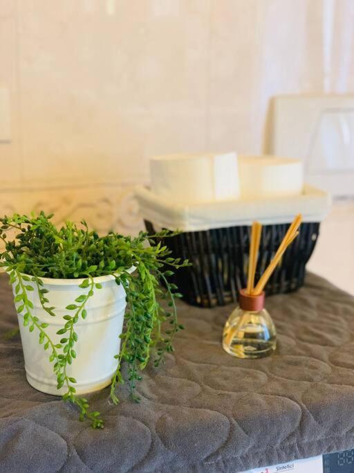 Benvenuti In Casa Peluca! Διαμέρισμα Μέστρε Εξωτερικό φωτογραφία